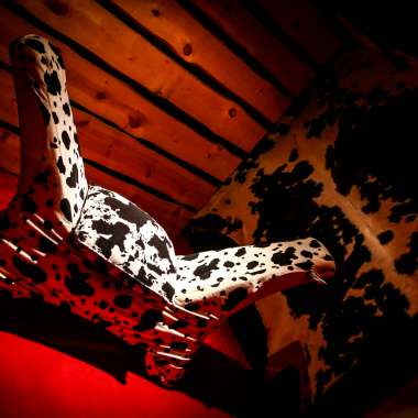 Photo n°29 - le club